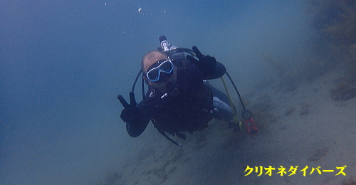 西伊豆田子でダイビング講習