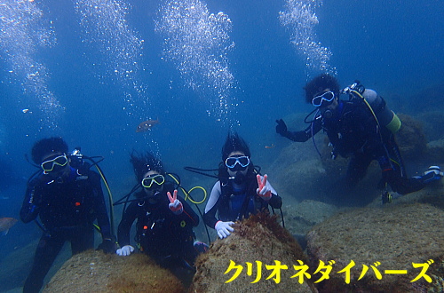 黄金崎体験ダイビング