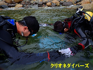 西伊豆雲見体験ダイビング
