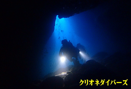 西伊豆雲見ダイビング