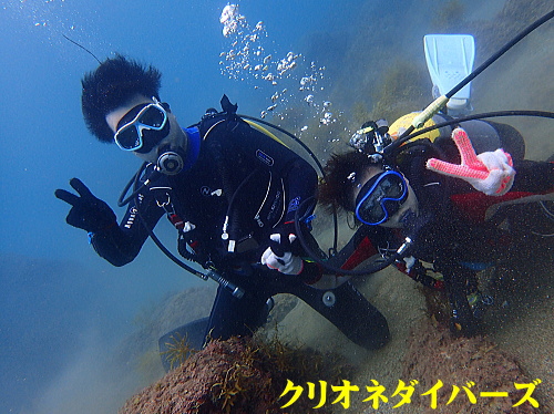西伊豆雲見体験ダイビング