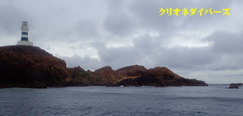 ハンマーヘッドシャーク神子元島