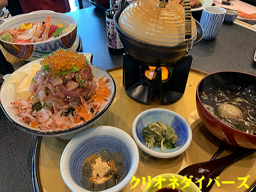ハンマーヘッドシャーク神子元島