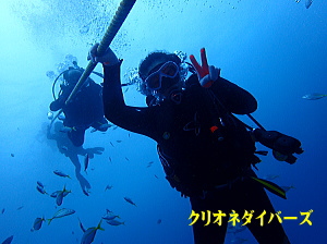 千葉館山サメツアー