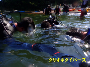 田子体験ダイビング
