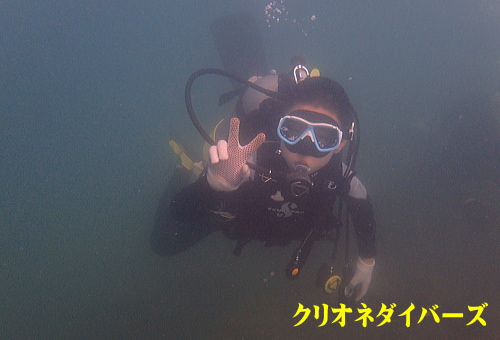 田子体験ダイビング