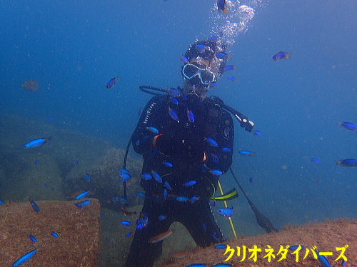 黄金崎体験ダイビング