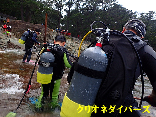 黄金崎体験ダイビング
