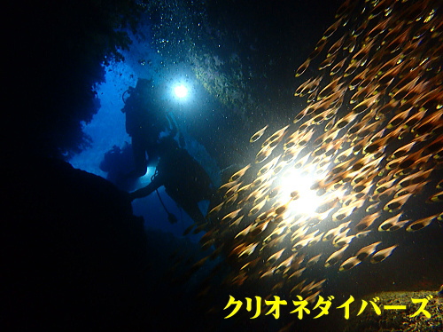 西伊豆雲見ダイビング