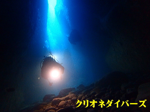 西伊豆雲見ダイビング