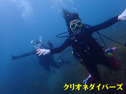 西伊豆田子体験ダイビング