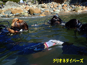 雲見体験ダイビング