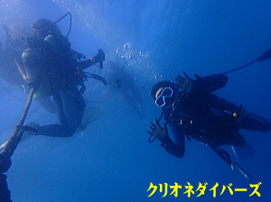 西伊豆雲見洞窟ダイビング