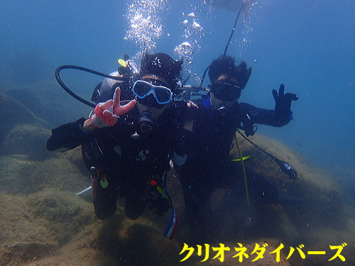 西伊豆黄金崎体験ダイビング
