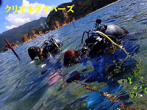 西伊豆黄金崎体験ダイビング