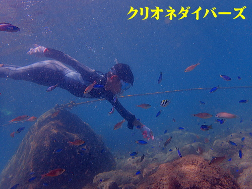 黄金崎シュノーケリング