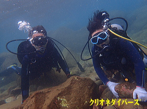 西伊豆で体験ダイビング