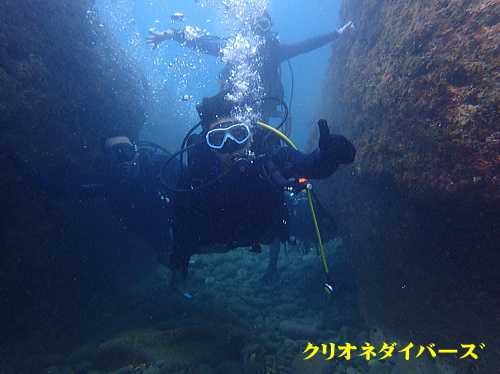 西伊豆雲見体験ダイビング