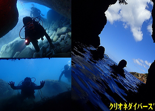 西伊豆雲見体験ダイビング