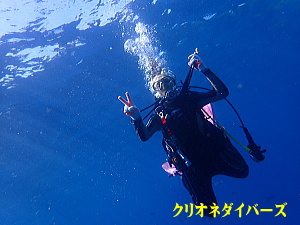 西伊豆雲見洞窟ダイビング