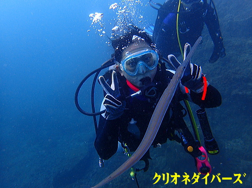 西伊豆田子ダイビング