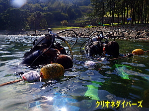 黄金崎体験ダイビング