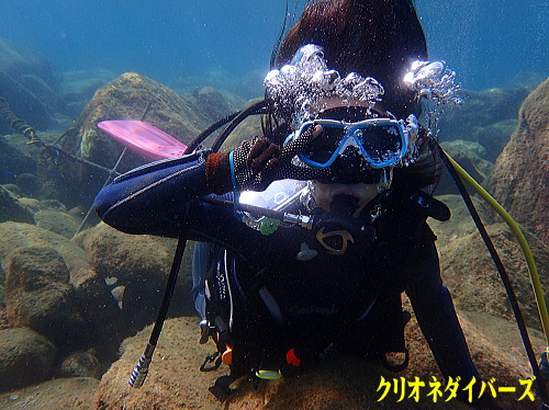 黄金崎体験ダイビング