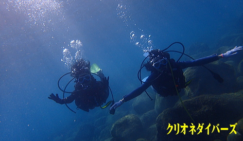黄金崎体験ダイビング