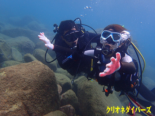 黄金崎体験ダイビング
