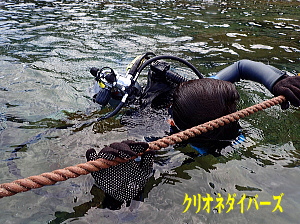 黄金崎体験ダイビング