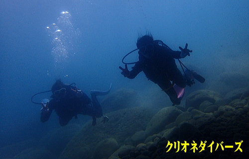 雲見体験ダイビング