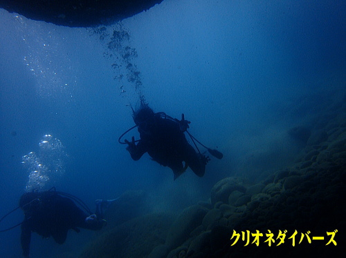 雲見体験ダイビング