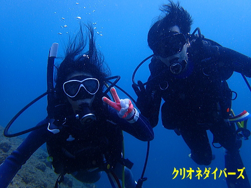 西伊豆雲見体験ダイビング