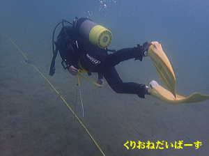 西伊豆田子ダイビング