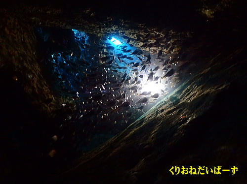 雲見ダイビング
