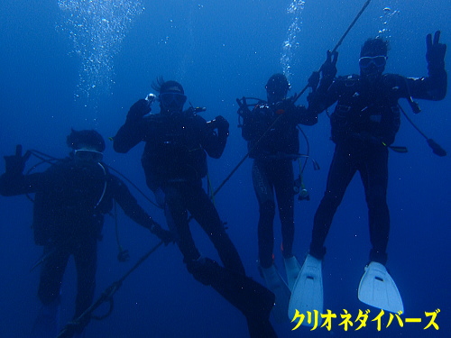 西伊豆田子体験ダイビング