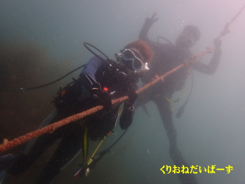 西伊豆田子リフレッシュダイビング