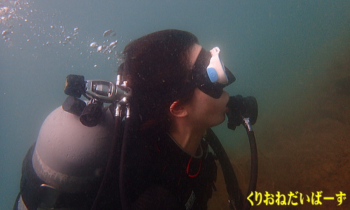 西伊豆田子体験ダイビング