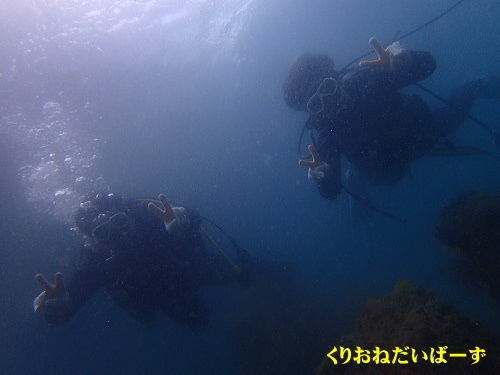 西伊豆田子ダイビング
