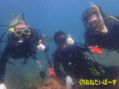 西伊豆田子体験ダイビング