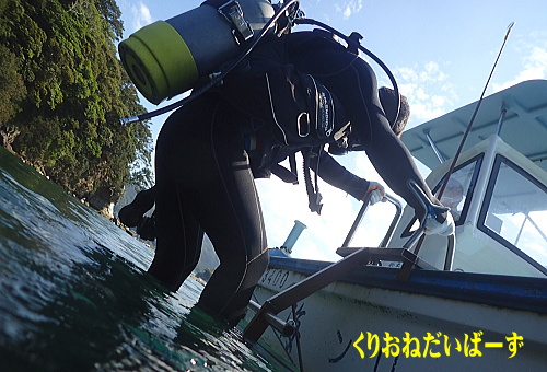 西伊豆田子体験ダイビング