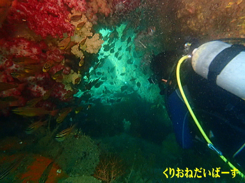 雲見ダイビング