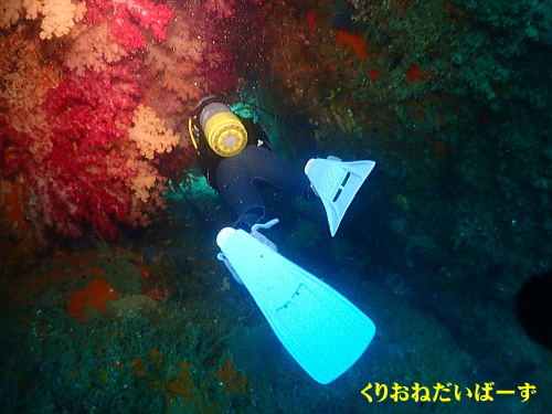 雲見ダイビング