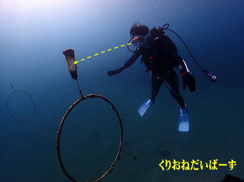 西伊豆オープンウォーター講習