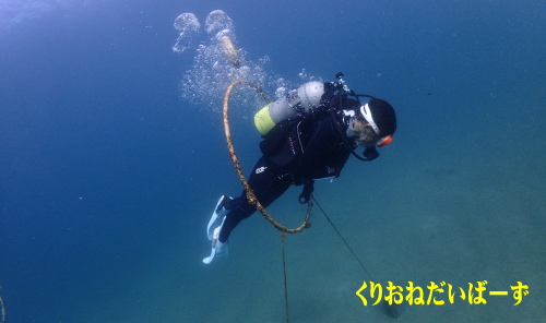 西伊豆オープンウォーター講習