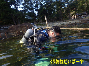 西伊豆ダイビングライセンスコース