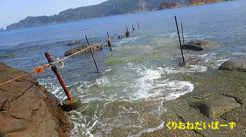 西伊豆ダイビング講習