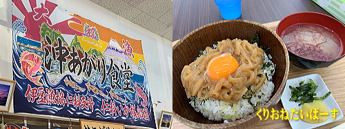 西伊豆田子ダイビング