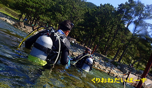 黄金崎体験ダイビング