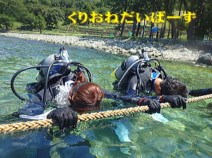 黄金崎体験ダイビング